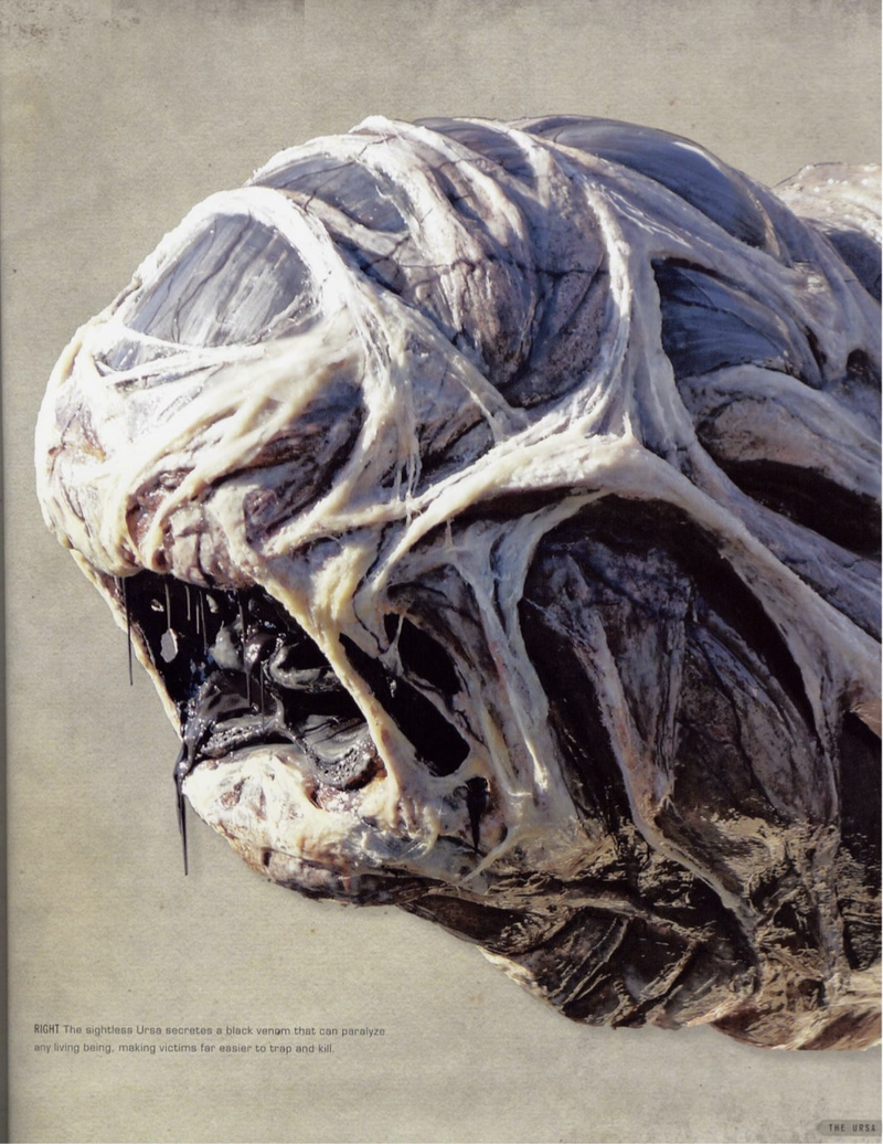 Illustration for article titled The Alien Backstory You Didn't See in the After Earth Trailers!